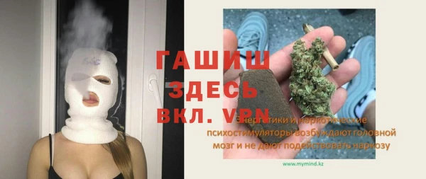 прущий лед Алзамай