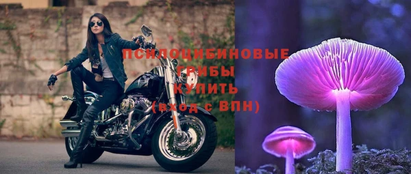 прущий лед Алзамай